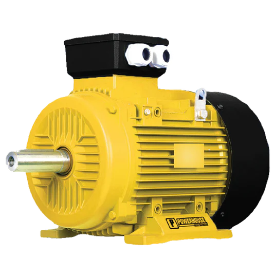 Electric Motor